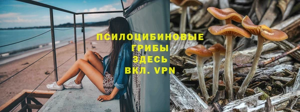 таблы Аркадак